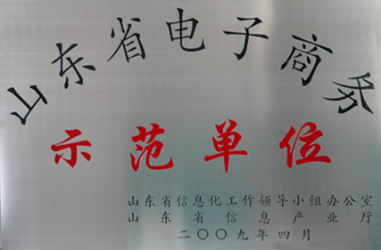 集团被评定为“山东省电子商务示范单元”