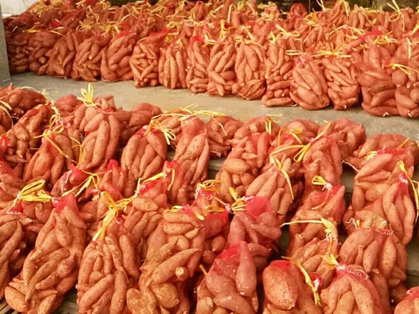 集团发展“我为人民办实事，，，，，，文化实际在行动”爱心义购活动