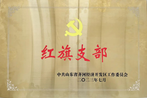 集团冠威园区党支部荣获“红旗支部”荣誉称号